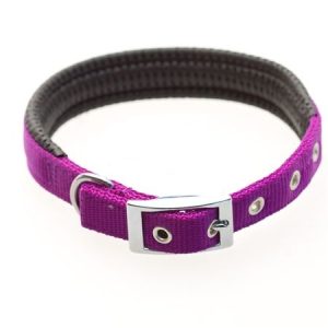 Dog Collar- Nylon Foam- PURPLE 2.0cm W x 50cm L