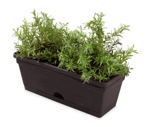 Garden Up Herb Pot 290mm