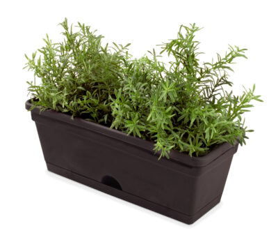 Garden Up Herb Pot 290mm