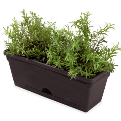 Garden Up Herb Pot 290mm