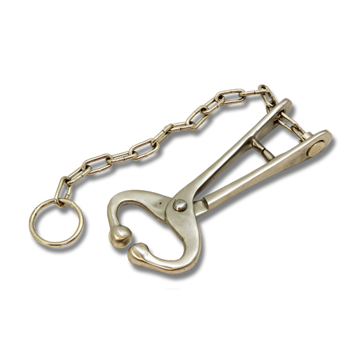 Bull Lead – Chain Type