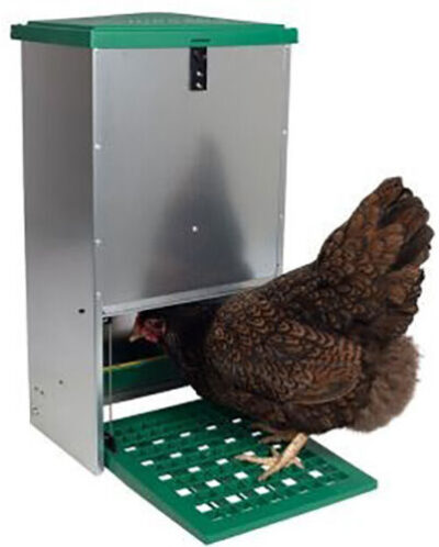 Feed-O-Matic Poultry Feeder
