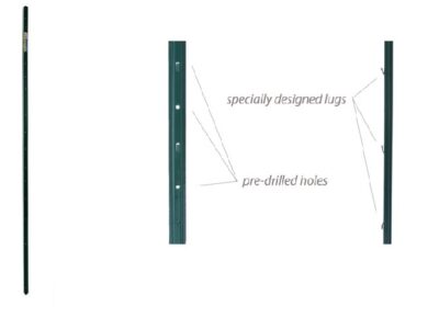 Posts- Garden Post- Green With Notched Lugs - 1m x 10