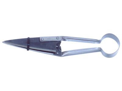 Hand Shears- Due Buoi x 1