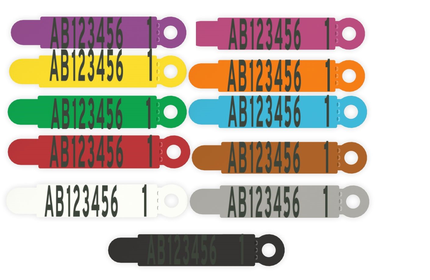 Leader- Tags- Multi Tags DOUBLE SIDED PRINTING x 10
