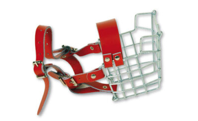Dog Muzzle- Newmarket x 1