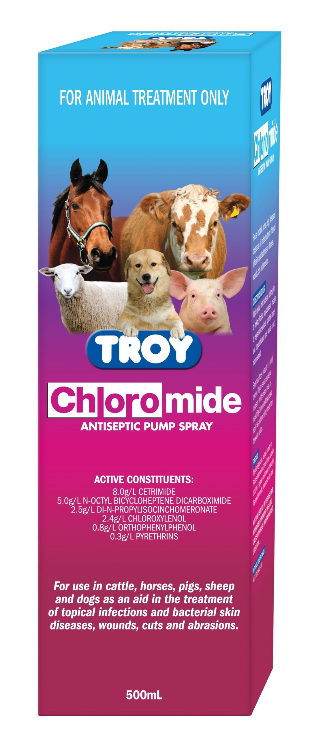 Antiseptic Spray Chloromide 500ml